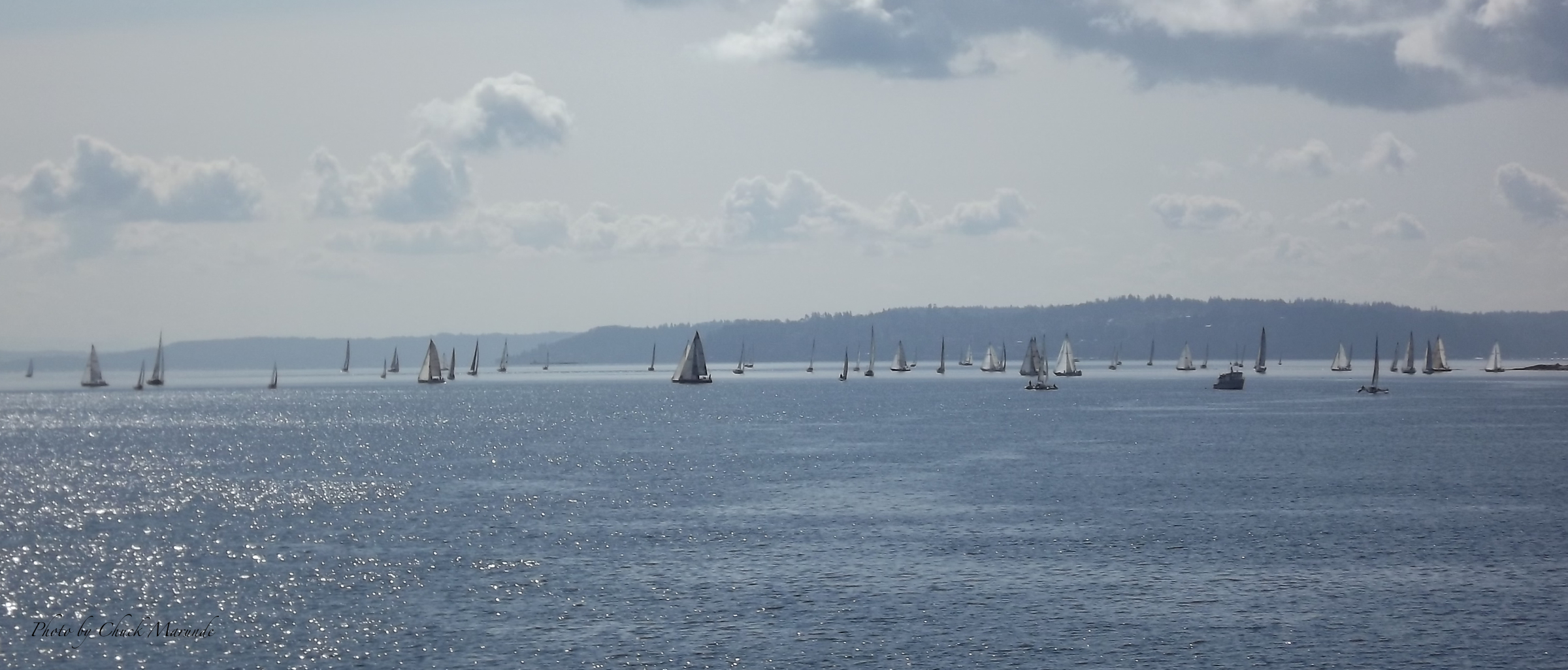 A Sunny Sequim Day and to Seattle Homes and Land in Sunny Sequim, Washington